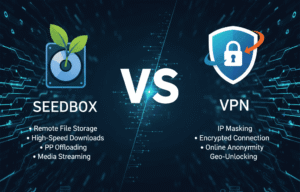 Seedbox vs VPN