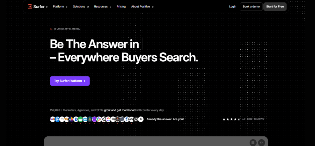 Surfer SEO Software Reviews