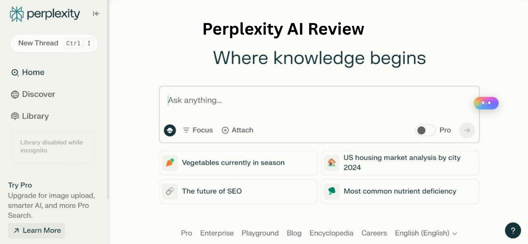 Perplexity AI Review